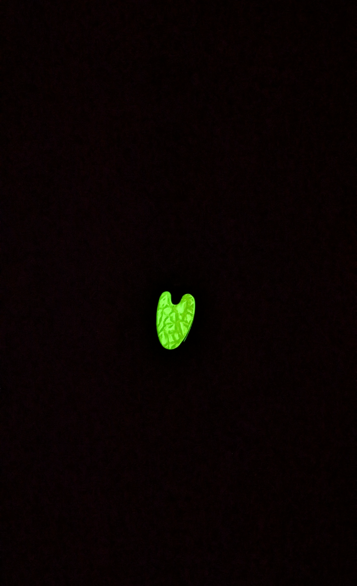 Glow-in-the-Dark Nickle Lure-Small (#506)